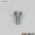 8x20 mm brake disc screws Yamaha YFZ 450 R, Kodiak 700...