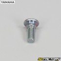 Viti disco freno 8x20 mm Yamaha YFZ450R, Kodiak700...