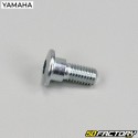 8x20 mm brake disc screws Yamaha YFZ 450 R, YFM Raptor 700 ...