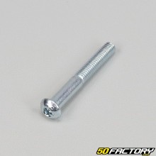 Tornillo de 6x45 mm BTR cabeza redonda gris (por unidad)