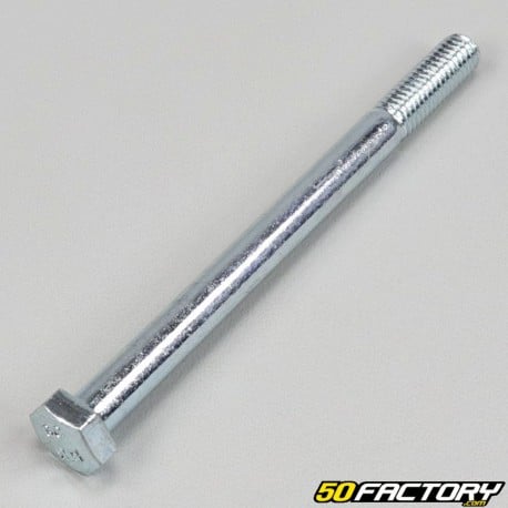 8x100 mm screw hex head (per unit) V1