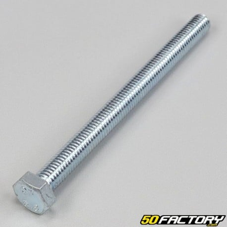 8x100 mm screw hex head (per unit) V2