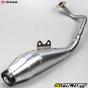 Exhaust Tecnigas GP4, Piaggio Zip,  Aprilia Scarabéo ... 50 4T from 2000