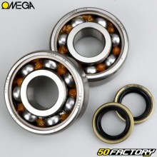 Bearings and crankshaft oil seals AV7, AV10 MBK 51, Motobécane Omega