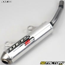 Muffler Kawasaki KX 125 (1990) DEP 2