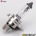 Toplight H4 12V 60 / 55W headlight bulb