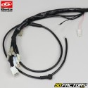 Electrical harness Beta RR 50 (2018 - 2020)