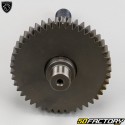 Rear wheel shaft Peugeot TKR,  Kisbee, Ludix, Citystar... 50 2T
