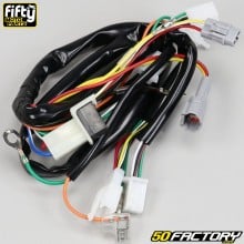 Feixes eléctricos Yamaha PW 50 Fifty