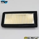 Luftfilter Suzuki Burgman 650 (2003 - 2020) TNT Original