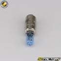 BA20D 12V 35 / 35W halogen headlight bulb Flosser Blue