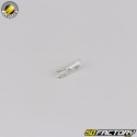 Speedometer bulb T5 6V 1.2W  Flosser