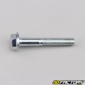 Tornillo del cárter 6x40 mm Peugeot Speedfight, Generic Cracker Keeway Agora ... 50