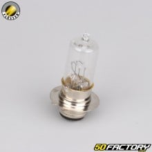 152512V 25V/25W headlight bulb Flosser