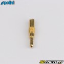 Chiclé baja 32 carburador PWK, Keihin Polini