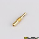 Getti al minimo da 35 a 58 carburatore PWK, Keihin (kit di messa a punto)