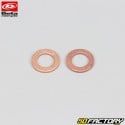 37x50x11 mm fork oil seals with dust covers Beta RR 50, RE 125 (2011 - 2016)