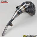 Exhaust Beta RR 50 (2011 - 2020) Giannelli Enduro carbone