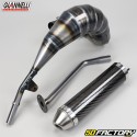 Exhaust Beta RR 50 (2011 - 2020) Giannelli Enduro carbone