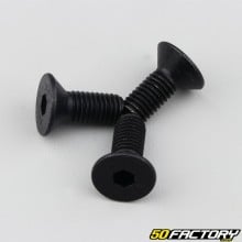 Brake disc or crown screw 2.5x2.5mm black (set of 2)