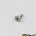 4x7 mm brake master cylinder screw (each)