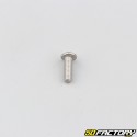 Tornillo 4x12 mm BTR cabeza abombada (por unidad)