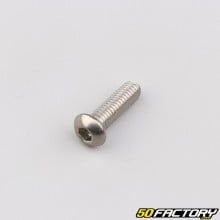 Tornillo cabeza abombada BTR de XNUMXxXNUMX mm (por unidad)