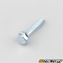 6x30 mm screw hex head base (single)