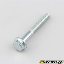 Vite 6x45 mm testa esagonale a piastra base (per unità)