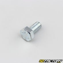 XNUMXxXNUMX mm hex head screws (per unit)