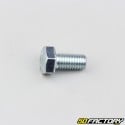 8x16 mm screw hex head (single)