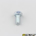 8x16 mm screw hex head (single)