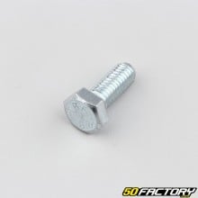 8x20 mm hex head screws (per unit)