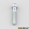 Screw 8x40 mm BTR head (per unit)