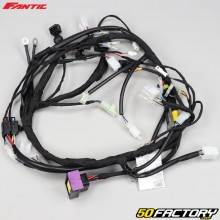 Wiring harness Fantic XE, XM 50 (since 2021)