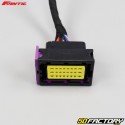 Chicote de fios elétricos Fantic XE, XM 50 (desde 2021)