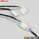 Chicote de fios elétricos Fantic XE, XM 50 (desde 2021)