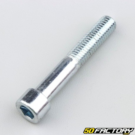 Brake caliper support screw AJP 10x60 mm (per unit)