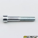 Brake caliper support screw AJP 10x60 mm (per unit)