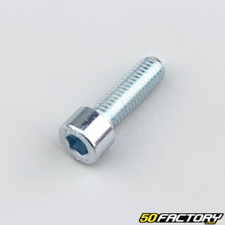 Screw 8x25 mm BTR head (per unit)