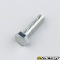 8x30 mm screw hex head (single)