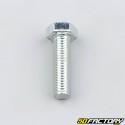 8x30 mm screw hex head (single)