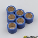 Variator rollers 22g 23x18 mm Kymco Dink,  Piaggio 9... blues