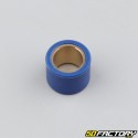 Variator rollers 22g 23x18 mm Kymco Dink,  Piaggio 9... blues