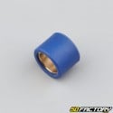 Variator rollers 22g 23x18 mm Kymco Dink,  Piaggio 9... blues