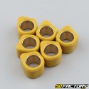 Rulli variatori scorrevoli 6g 16x13 mm Kisbee,  Agility,  Zip,  Cracker 50 ...