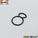 PHVA valve cover seal Dellorto