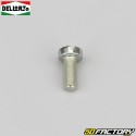 SHA carburettor fuel pipette screw Dellorto (to the unit)