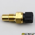 Sonda di temperatura Peugeot Speedfight 1, 2