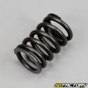 Fork dip tube spring Kymco KPW